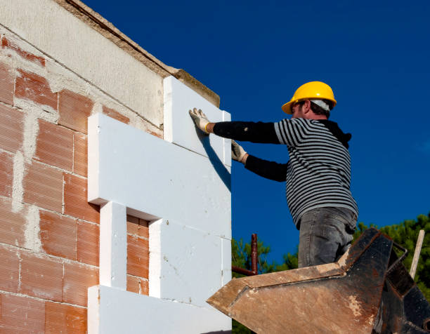 Best Professional Insulation Contractor  in Watseka, IL