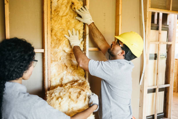 Best Insulation Inspection Services  in Watseka, IL