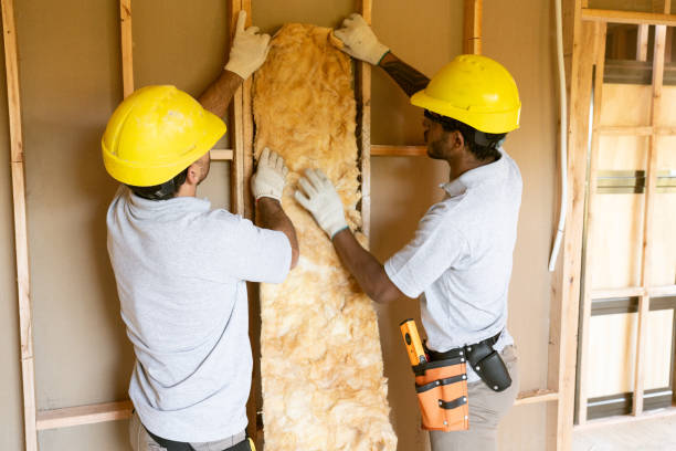 Insulation Repair Services in Watseka, IL