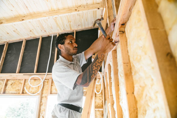 Best Insulation Removal  in Watseka, IL