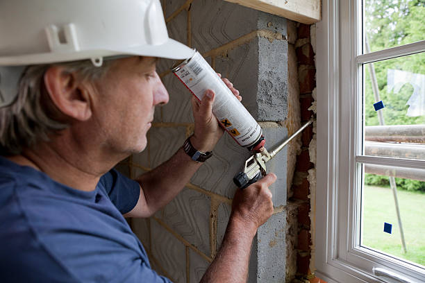 Best Spray Foam Insulation  in Watseka, IL