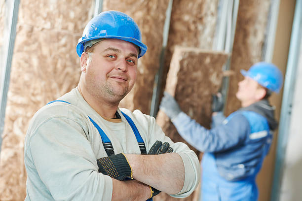 Best Insulation Removal  in Watseka, IL